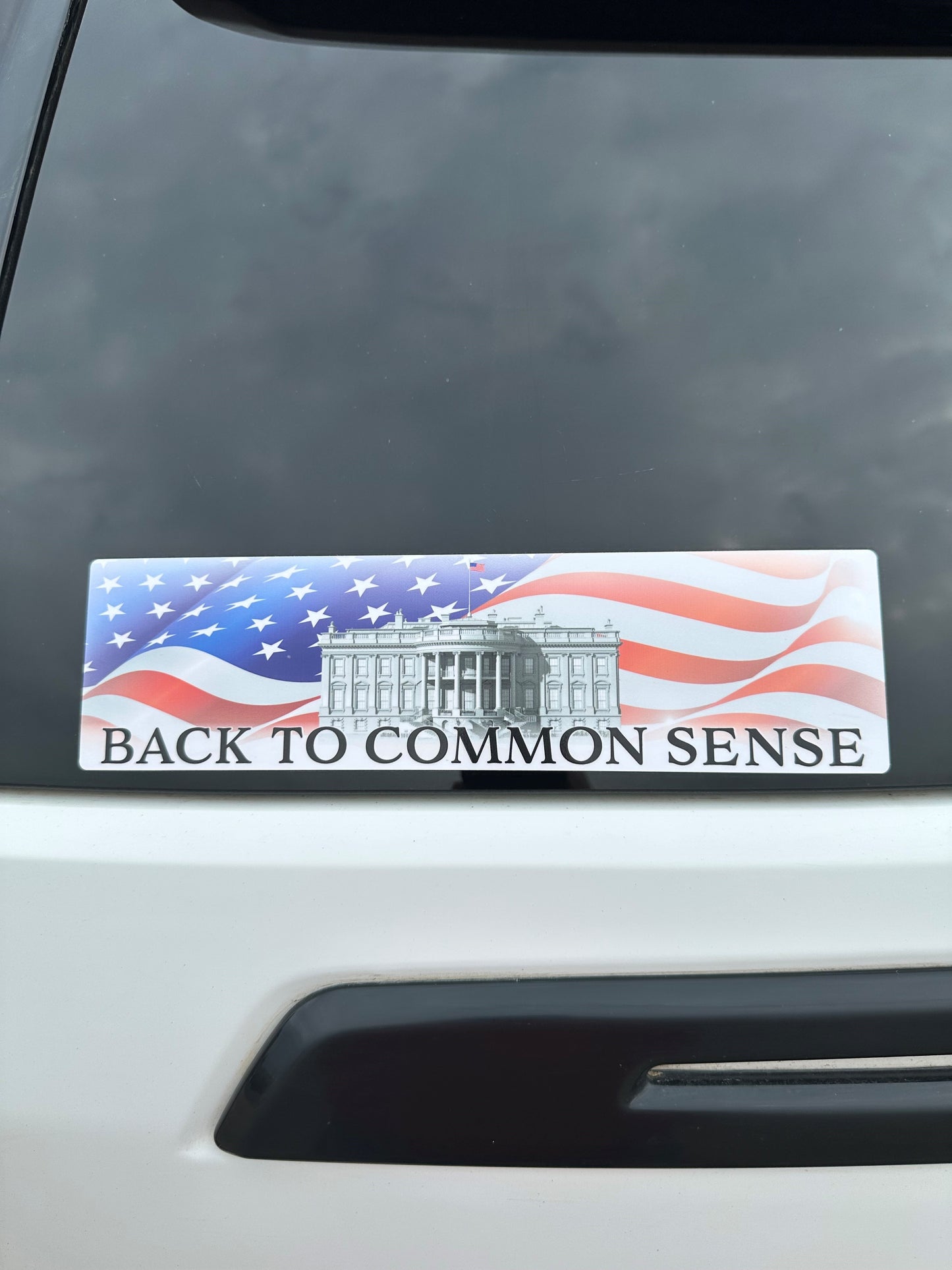 Back To Common Sense Sticker